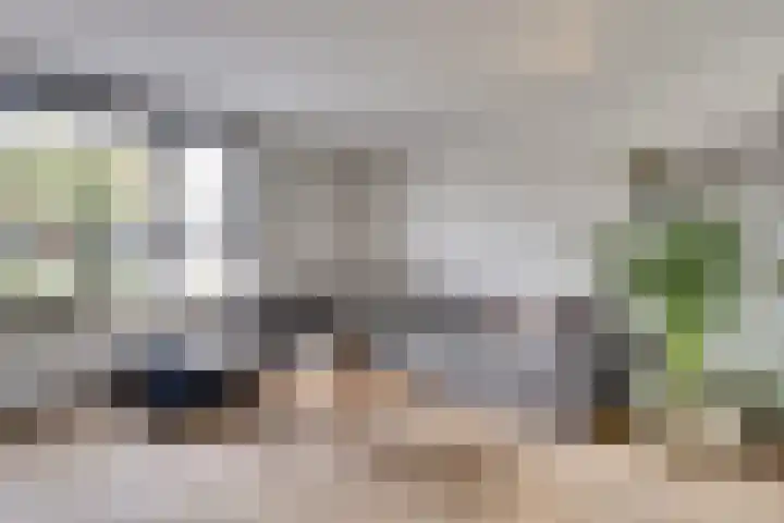 Beethovenlaan 51 Goes thumbnail 12
