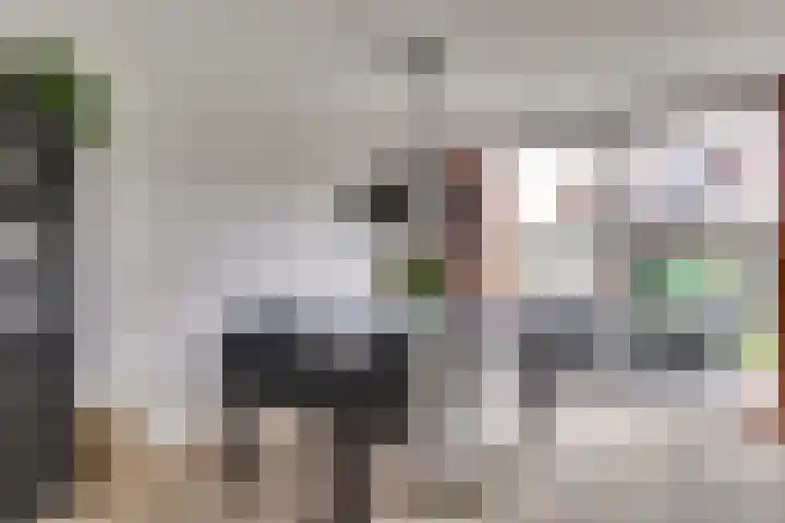 Beethovenlaan 51 Goes thumbnail 14