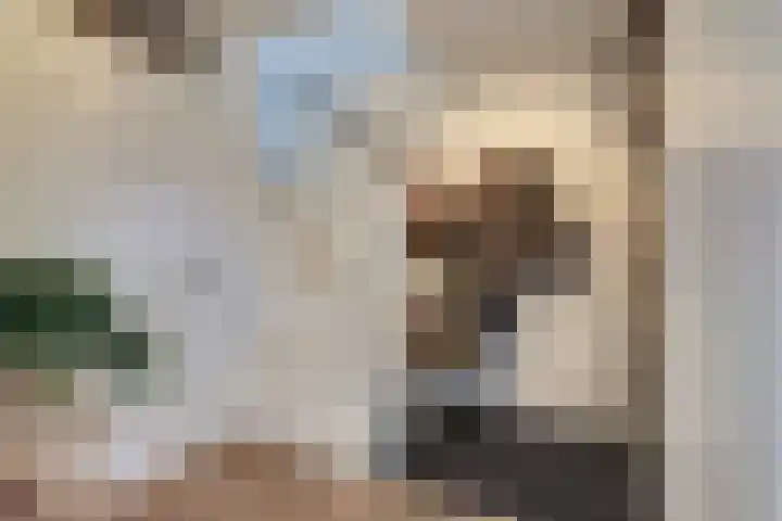Beethovenlaan 51 Goes thumbnail 17