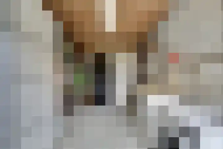 Beethovenlaan 51 Goes thumbnail 33