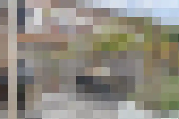 Beethovenlaan 51 Goes thumbnail 37
