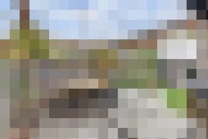 Beethovenlaan 51 Goes thumbnail 38