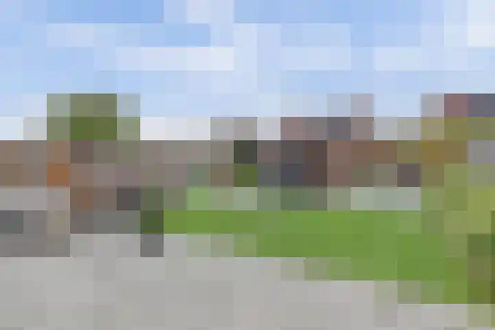 Beethovenlaan 51 Goes thumbnail 39