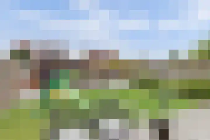Beethovenlaan 51 Goes thumbnail 40