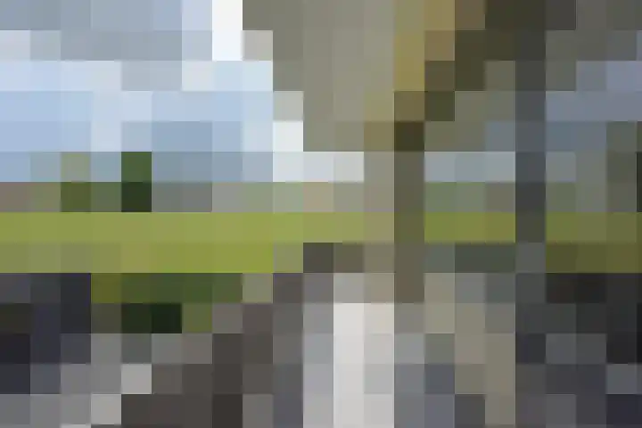 Beethovenlaan 51 Nieuwkoop thumbnail 31