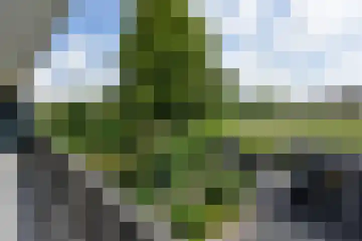 Beethovenlaan 51 Nieuwkoop thumbnail 32