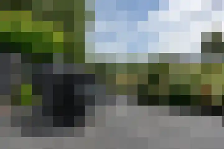 Beethovenlaan 51 Nieuwkoop thumbnail 36