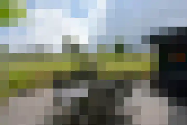 Beethovenlaan 51 Nieuwkoop thumbnail 37