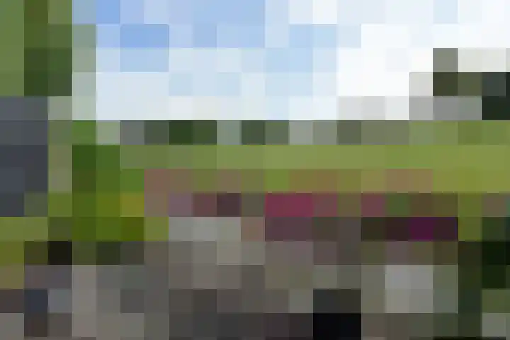Beethovenlaan 51 Nieuwkoop thumbnail 41
