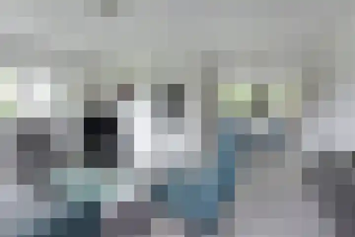 Beethovenlaan 51 Nieuwkoop thumbnail 8