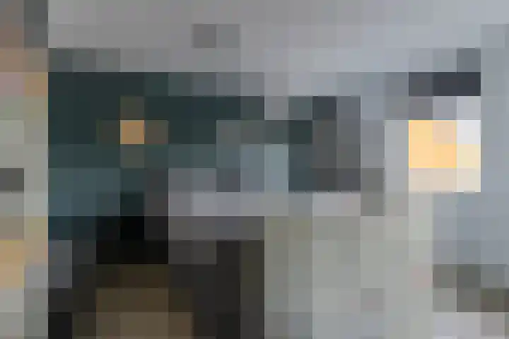 Beethovenlaan 53 Voorhout thumbnail 11