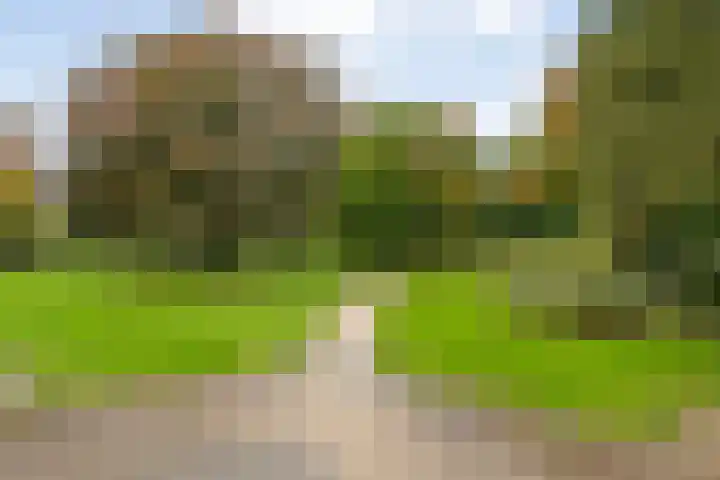 Beethovenlaan 536 Zwolle thumbnail 24