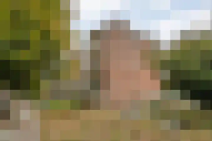 Beethovenlaan 536 Zwolle thumbnail 27