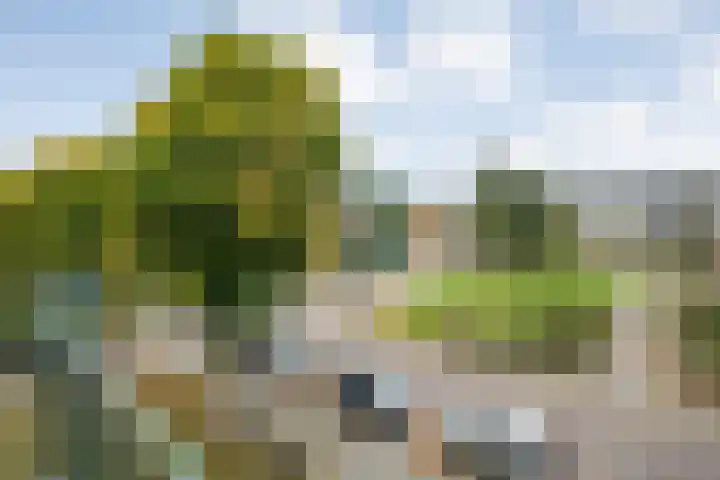 Beethovenlaan 536 Zwolle thumbnail 7