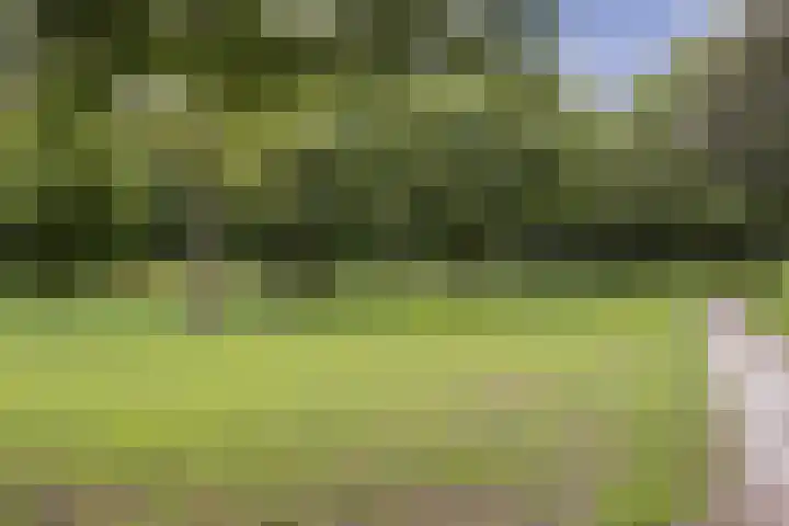 Beethovenlaan 556 Zwolle thumbnail 6