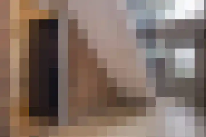 Beethovenlaan 556 Zwolle thumbnail 8