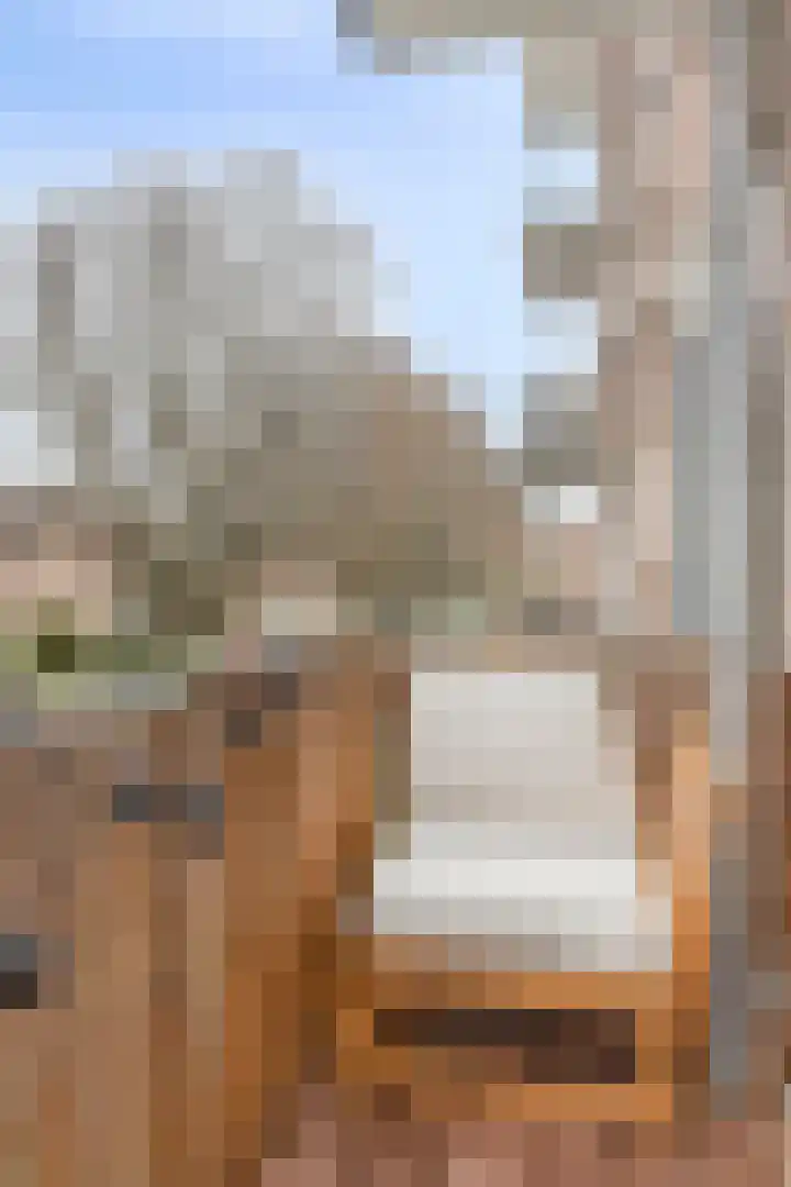 Beethovenlaan 558 Zwolle thumbnail 21