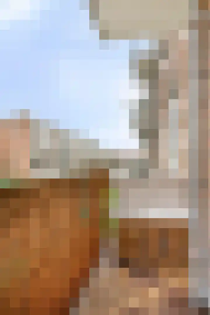 Beethovenlaan 558 Zwolle thumbnail 30