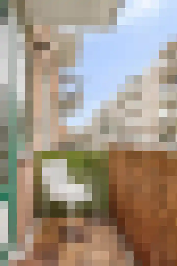 Beethovenlaan 558 Zwolle thumbnail 31