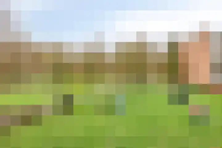 Beethovenlaan 558 Zwolle thumbnail 32