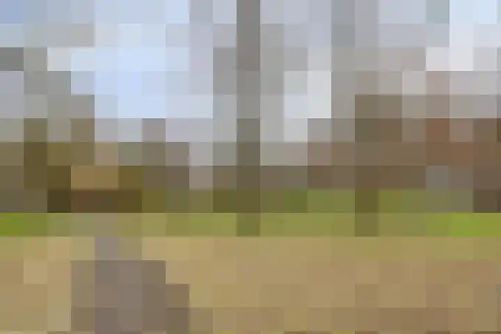 Beethovenlaan 558 Zwolle thumbnail 33