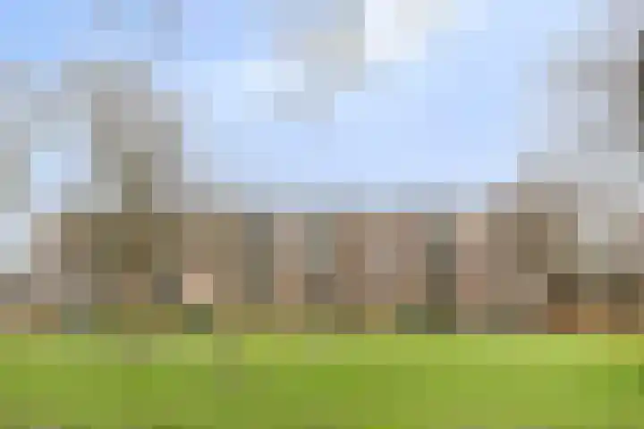 Beethovenlaan 558 Zwolle thumbnail 34