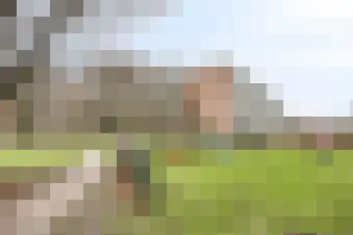 Beethovenlaan 558 Zwolle thumbnail 37