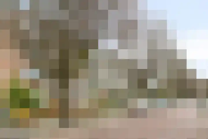Beethovenlaan 558 Zwolle thumbnail 5
