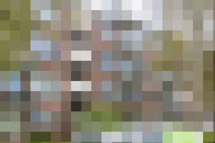 Beethovenlaan 560 Zwolle thumbnail 10