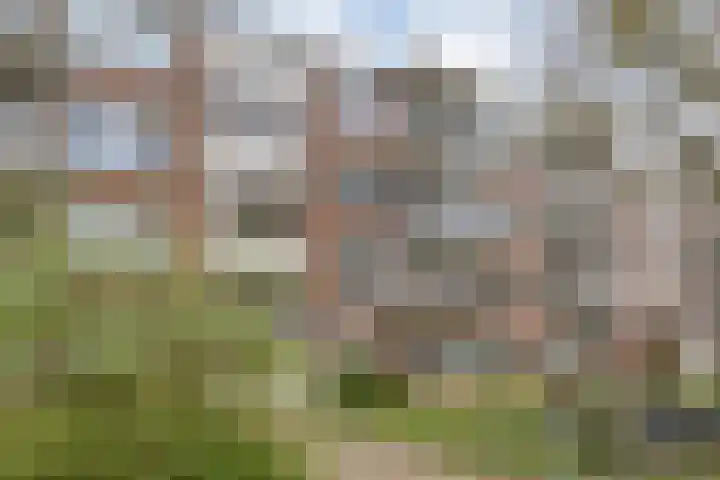 Beethovenlaan 560 Zwolle thumbnail 11