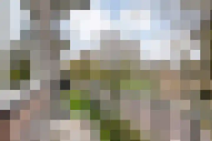 Beethovenlaan 560 Zwolle thumbnail 33