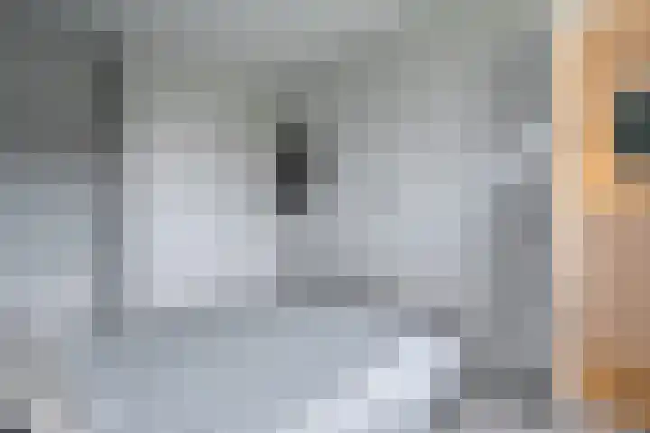 Beethovenlaan 560 Zwolle thumbnail 34