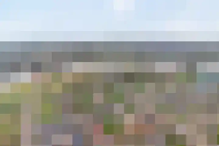 Beethovenlaan 560 Zwolle thumbnail 4
