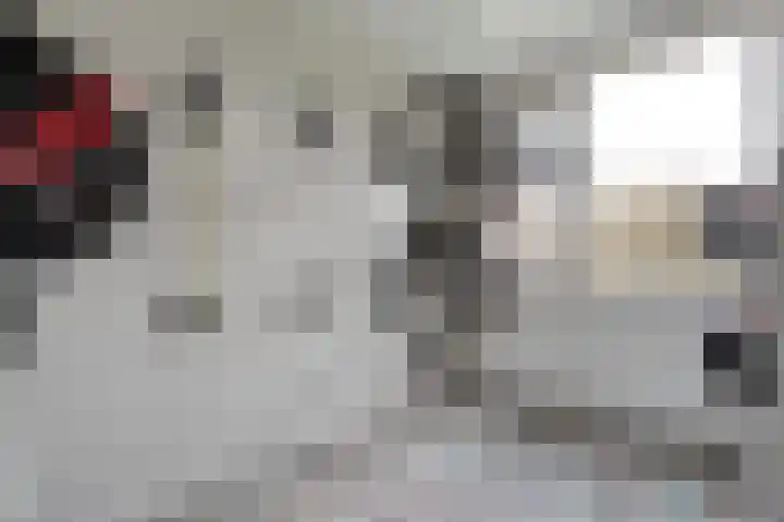 Beethovenlaan 560 Zwolle thumbnail 40