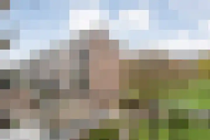 Beethovenlaan 560 Zwolle thumbnail 42