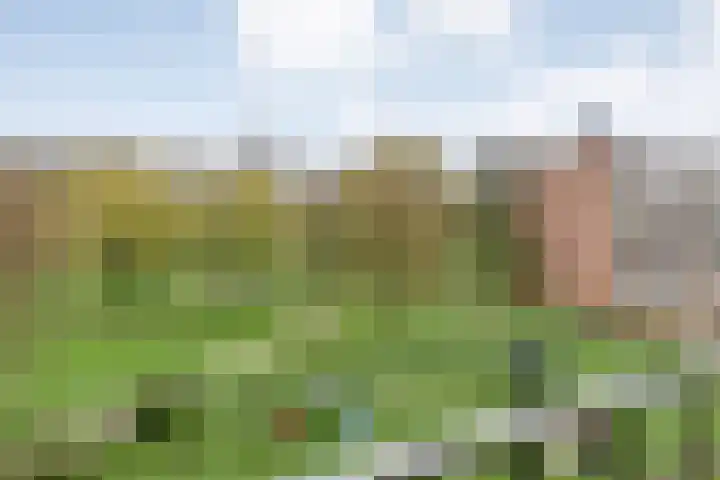 Beethovenlaan 560 Zwolle thumbnail 43
