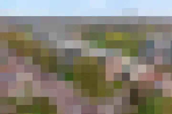 Beethovenlaan 560 Zwolle thumbnail 5
