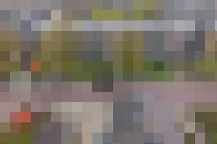 Beethovenlaan 560 Zwolle thumbnail 6
