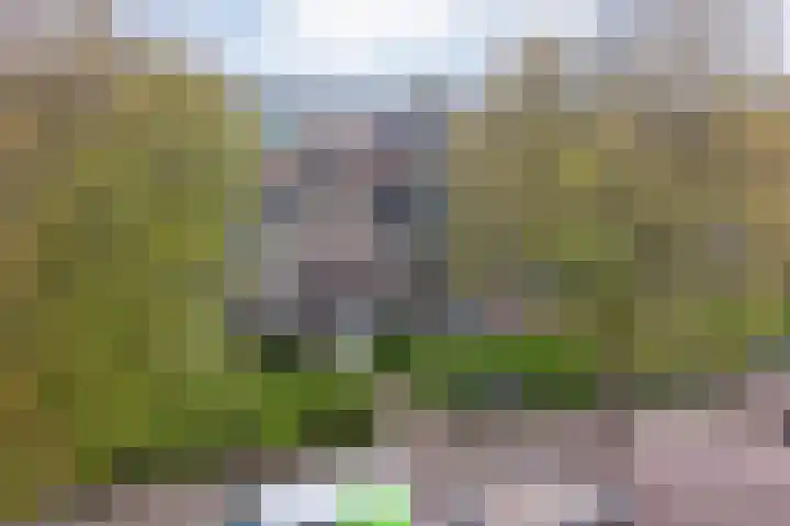 Beethovenlaan 560 Zwolle thumbnail 7