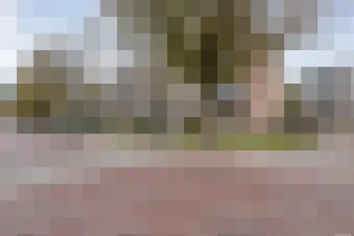 Beethovenlaan 560 Zwolle thumbnail 8