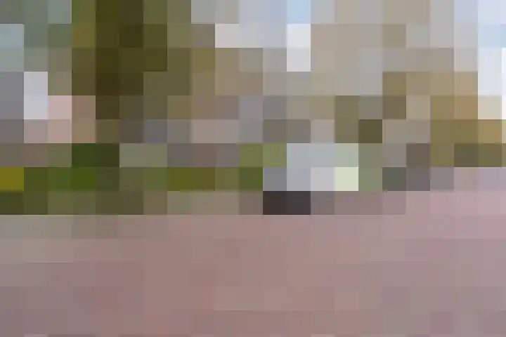 Beethovenlaan 560 Zwolle thumbnail 9