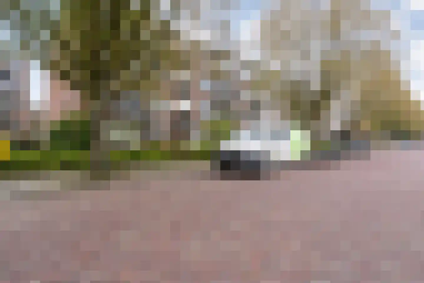 Beethovenlaan 560 Zwolle thumbnail 9