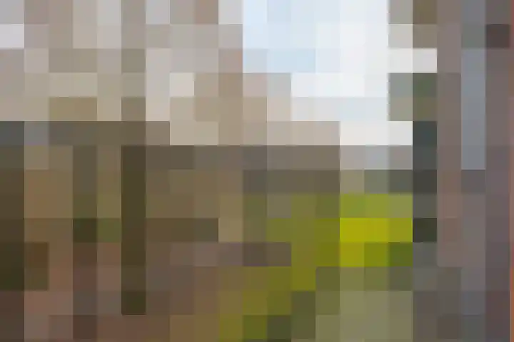 Beethovenlaan 606 Zwolle thumbnail 27