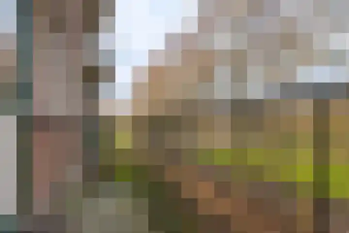 Beethovenlaan 606 Zwolle thumbnail 28