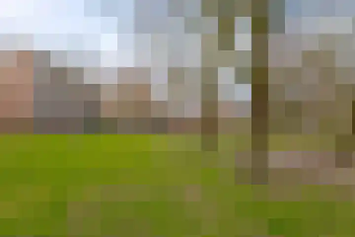 Beethovenlaan 606 Zwolle thumbnail 4
