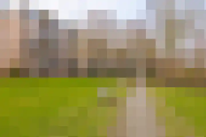 Beethovenlaan 606 Zwolle thumbnail 43