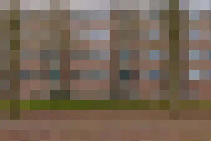 Beethovenlaan 606 Zwolle thumbnail 5