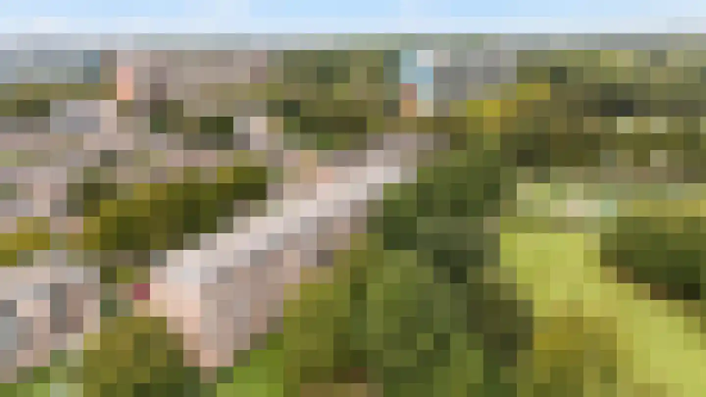 Beethovenlaan 610 Zwolle thumbnail 22