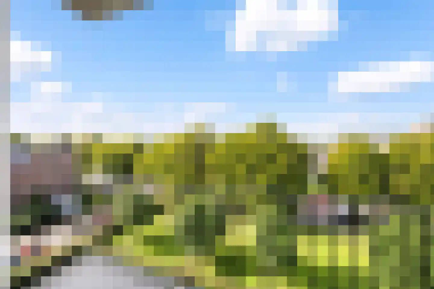 Beethovenlaan 610 Zwolle thumbnail 4