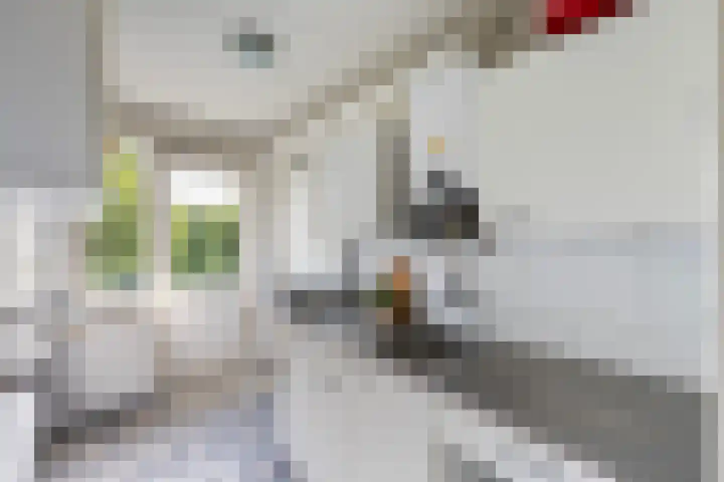 Beethovenlaan 610 Zwolle thumbnail 8